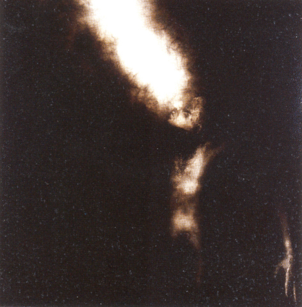 Tentativo di esistenza, 2002, tecnica mista su tavola, cm 150x150