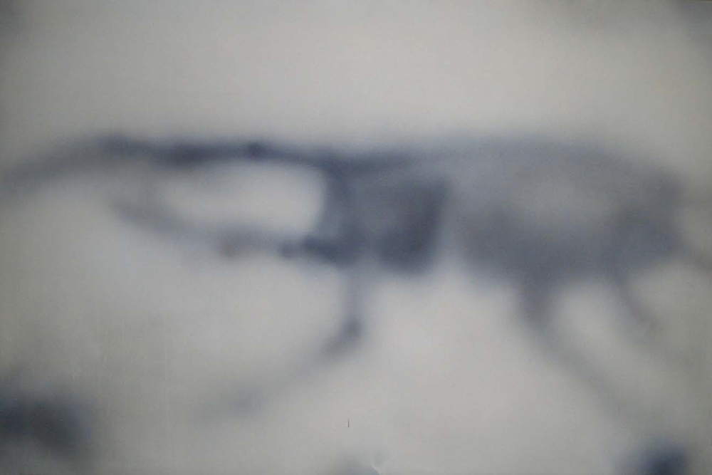 Ipnosi, 2006, tecnica mista su tela, cm 113x170
