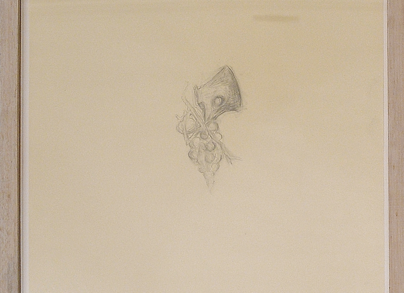 La volpe e l'uva, 2003, grafite su carta, cm 47x35,5