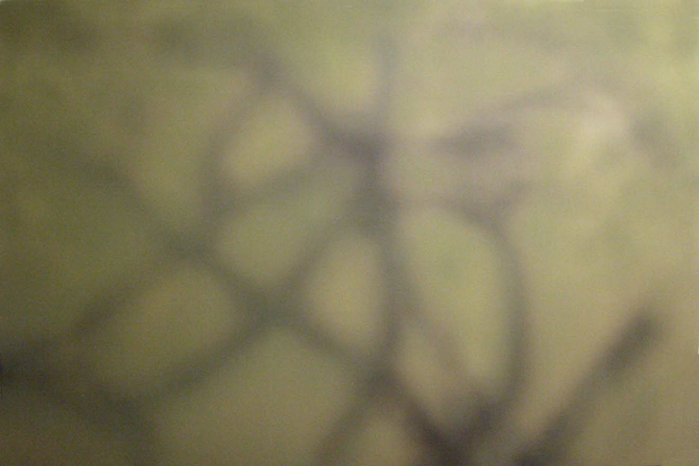 Ipnosi n. 7, 2006, tecnica mista su tela, cm 142x214