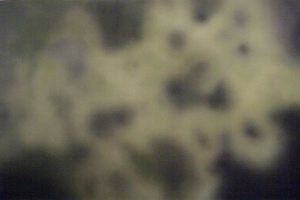 Ipnosi, 2006, tecnica mista su tela, cm 257x171