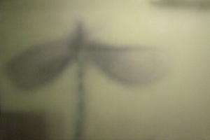 Ipnosi n. 16, 2006, tecnica mista su tela, cm 142x214