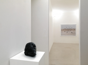 Andrea Fogli, Andrea Galvani