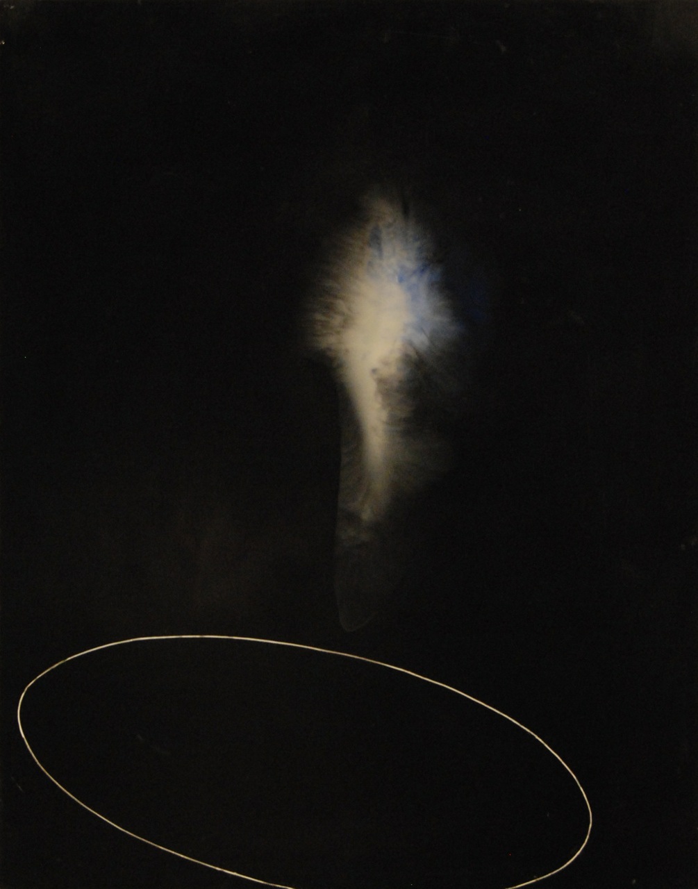Peter Flaccus, Ellipse, 2011, encausto su tavola, cm 43x34