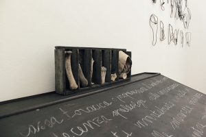 Repertis, 2008, osso, zoccolo, sasso e legno, cm 24x67