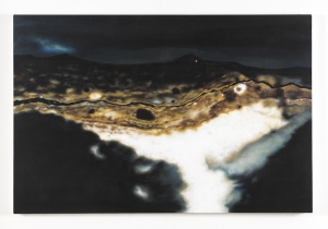 Andrea Facco, D’APRÈS TIZIANO – Dal margine a destra in corrispondenza della testa del chierico, 2011, acrilico su tela, cm 20x30