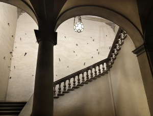 Installazione a Palazzo Pepoli Campogrande