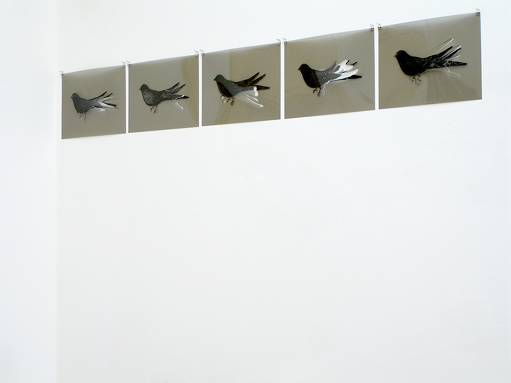 Gianni Moretti, Cinque esercizi di aderenza (la rondine), 2011, monotipo di inchiostro su pvc, cinque elementi di cm 29,5x42 cad.
