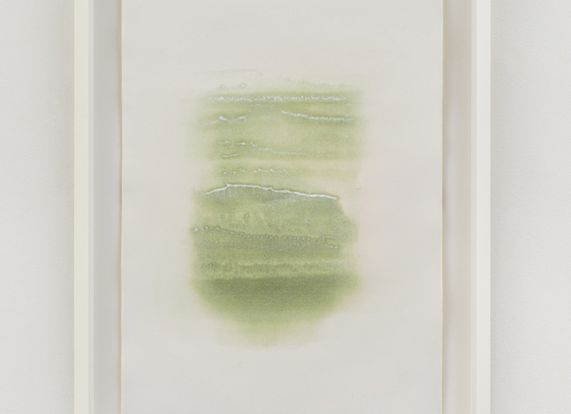Altrocampo II, 2021, tempera mista su carta, cm 50x35