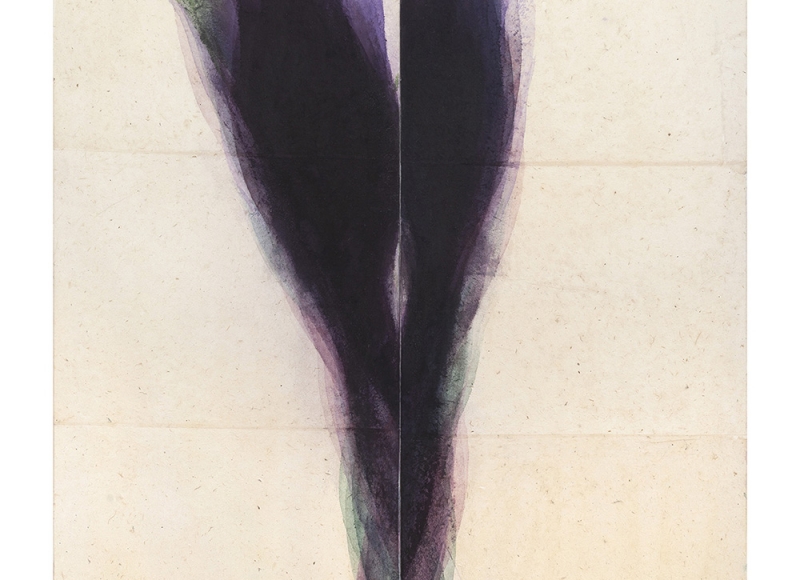 Cigno nero, 2021, acquarello su carta intelata, cm 120x120